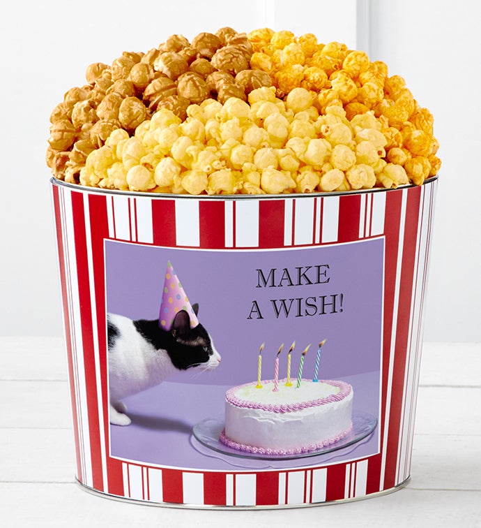 Tins With Pop&reg; Birthday Cat Cake